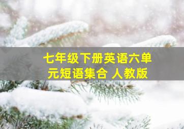 七年级下册英语六单元短语集合 人教版